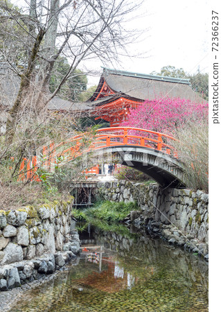 下鴨神社，紅岩塔門和御林之梅盛放的御手洗河上的環橋 72366237