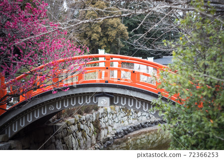 下鴨神社,盛開著“ Korin no Ume”盛開的御手洗河上的紅色環形橋 下鴨神社,盛開著“ Korin no Ume”盛開的御手洗河上的紅色環形橋 72366253