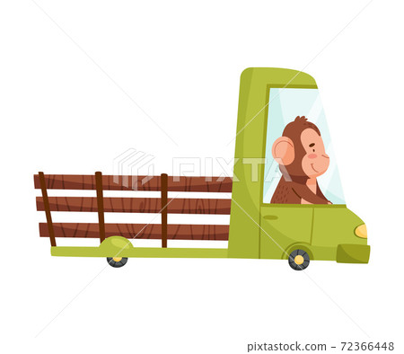 Happy Ape Driving Automobile with Cargo Body Vector Illustration 72366448