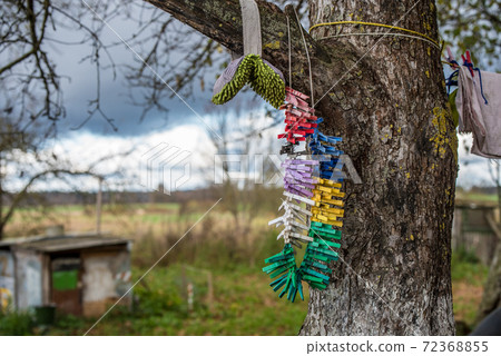 Photo Clothespins 