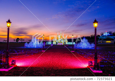 Sunset of Ota Illuminations 72373021