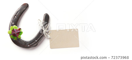 Horseshoe with lucky clover on a white background Horseshoe with lucky clover on a white background 72373968