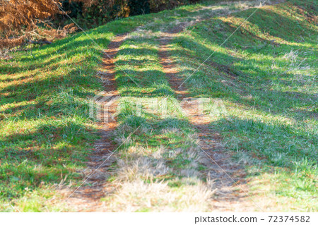 農場路，鄉村路，車轍，土路 72374582