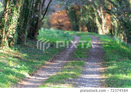 Farm roads, country roads, ruts, dirt roads Farm roads, country roads, ruts, dirt roads 72374584
