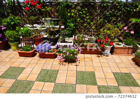 屋頂陽台上開滿鮮花的花園 72374632