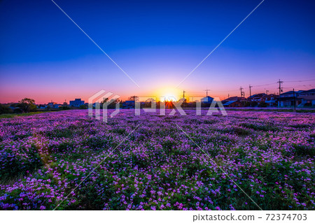 範圍場的夜景 72374703