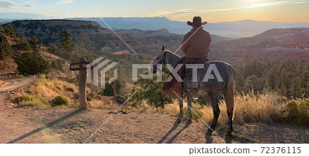 American SUN RISE American SUN RISE 72376115