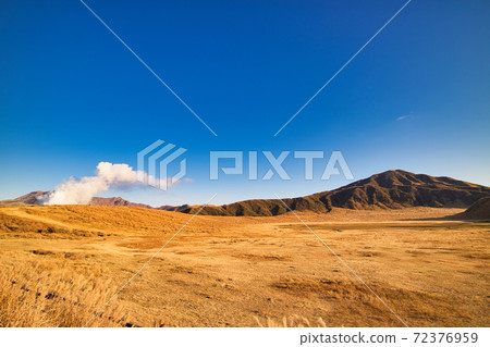 草麻麻麻里 72376959