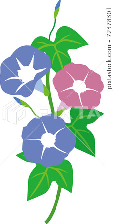 喇叭花 喇叭花 72378301