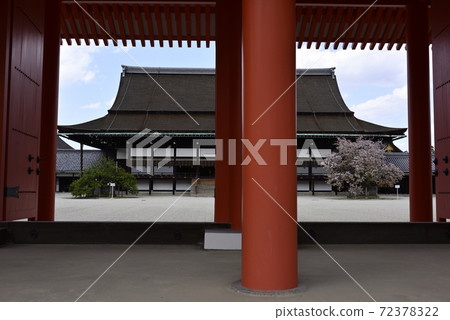 Spring at Kyoto Imperial Palace Spring at Kyoto Imperial Palace 72378322
