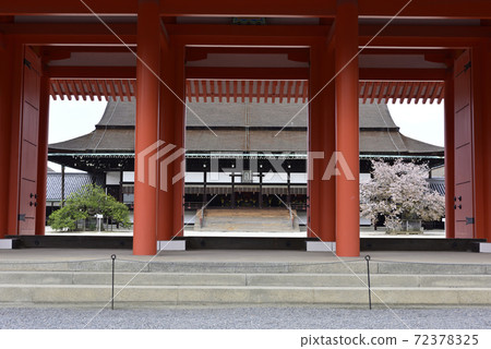 京都御所之春 72378325