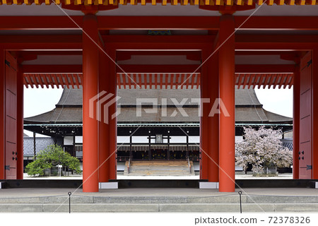 京都御所之春 72378326