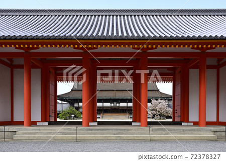 京都御所之春 72378327