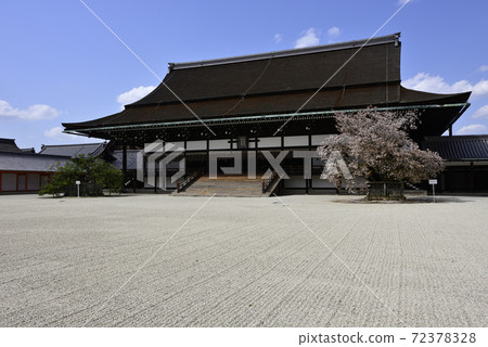 京都御所之春 72378328