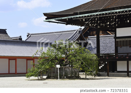 京都皇宮Shion寺 京都皇宮Shion寺 72378331