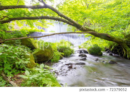 大山北谷澤山stream清溪生態意象 大山北谷澤山stream清溪生態意象 72379052