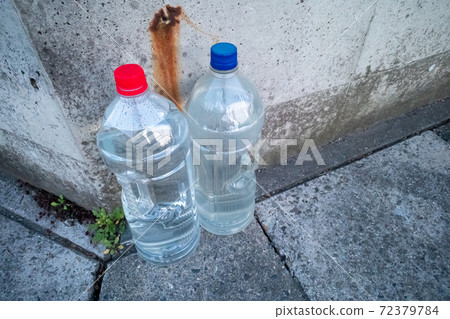 Cat avoid plastic bottle Cat avoid plastic bottle 72379784