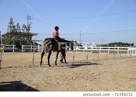 Children's horseback riding experience 72380232