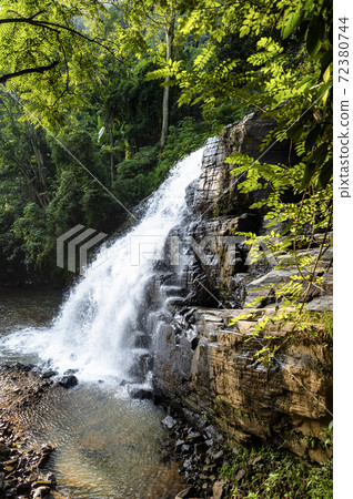 Waterfall in the jungle on the island of Sri Lanka Waterfall in the jungle on the island of Sri Lanka 72380744