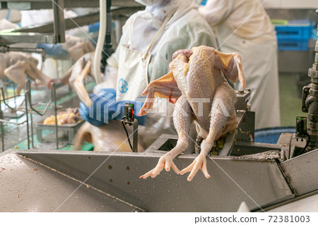 秋田縣日乃雞的衛生工廠 秋田縣日乃雞的衛生工廠 72381003