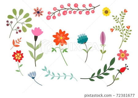 set of flat spring and summer flowers on white background. 72381677