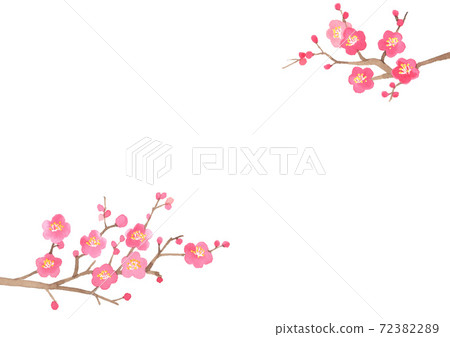 梅花枝剪插圖 72382289