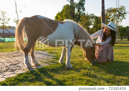 Relaxing with dwarf horse. 72382450