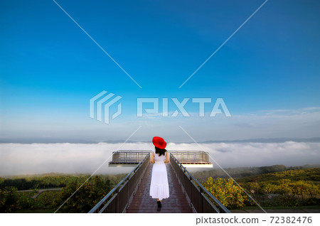 Landscape nature flower Tung Bua Tong, View point. Landscape nature flower Tung Bua Tong, View point. 72382476