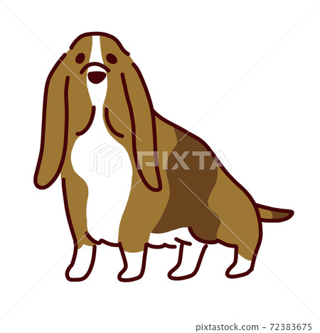 Illustration of dog series, cute Basset Hound Illustration of dog series, cute Basset Hound 72383675