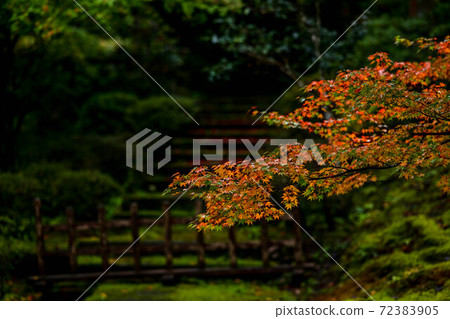 Nayoji Temple of the Fall Nayoji Temple of the Fall 72383905