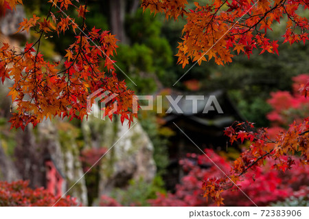 Nayoji Temple of the Fall 72383906