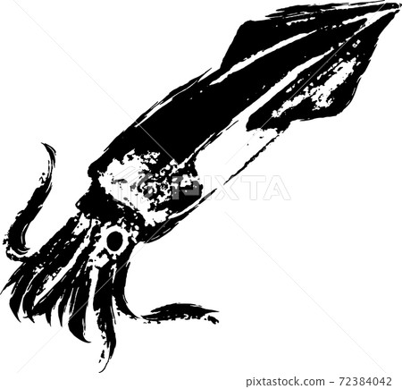 Illustration of artistic squid drawn with ink 72384042