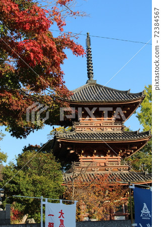 Hozumiji Temple Autumn Precincts Hozumiji Temple Autumn Precincts 72384567