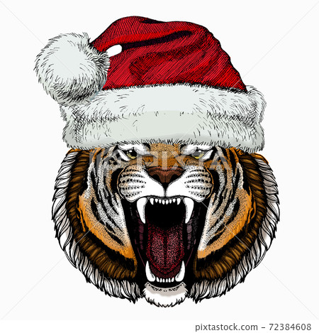 tiger with christmas hat