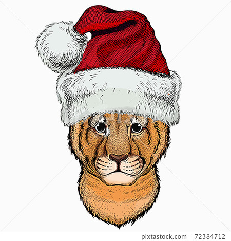 Vector portait of small baby lion head, face. Christmas winter animal vector portrait. Vector portait of small baby lion head, face. Christmas winter animal vector portrait. 72384712