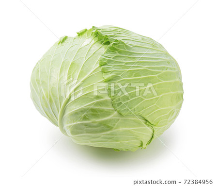 cabbage  72384956