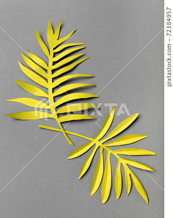 Pair of illuminating yellow tropical paper leaf. Pair of illuminating yellow tropical paper leaf. 72384957