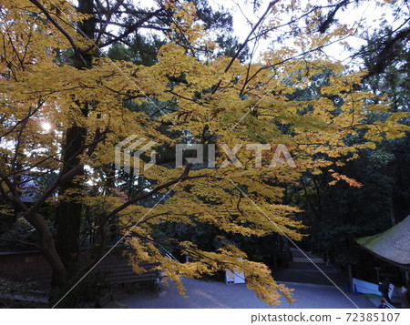 神社秋葉 72385107