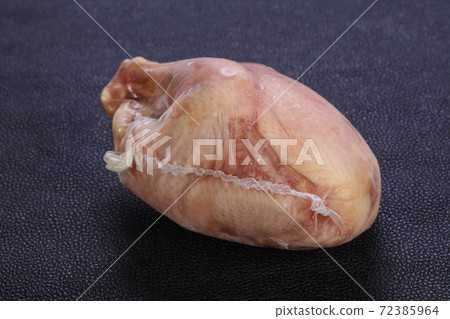 Small young chicken 72385964