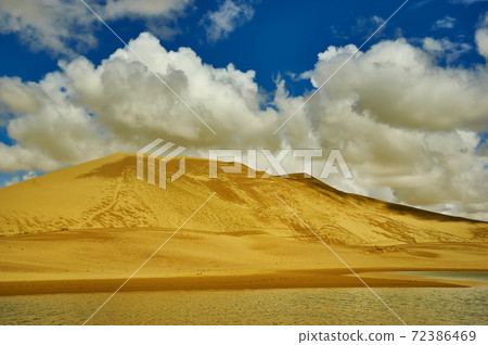 Mongolia. Sands Mongol Els, sandy dune desert, 72386469