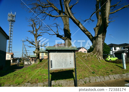 前日光海道小金井一壘 72388174