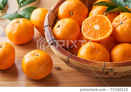 Mandarin orange planted in monkeys Mandarin orange planted in monkeys 72388228