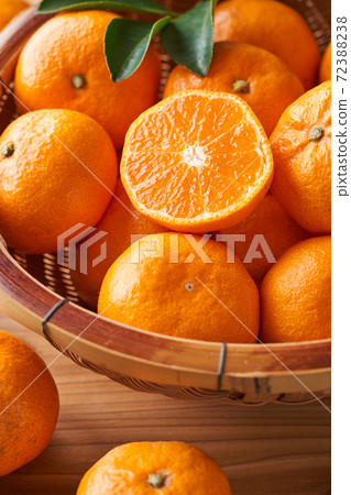 橘子種植在橘子裡 72388238