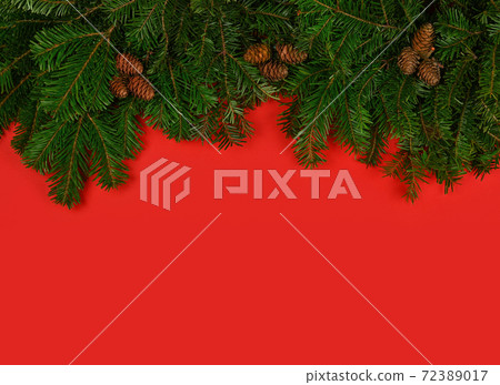 Close up fresh Christmas tree branches over red 72389017