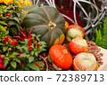 Diverse assortment of pumpkins . Autumn harvest. 72389713