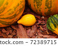 Diverse assortment of pumpkins . Autumn harvest. 72389715