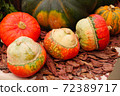 Diverse assortment of pumpkins . Autumn harvest. 72389717