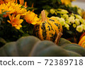 Diverse assortment of pumpkins . Autumn harvest. 72389718
