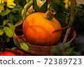 Diverse assortment of pumpkins . Autumn harvest. 72389723