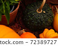 Diverse assortment of pumpkins . Autumn harvest. 72389727